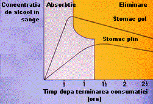 Faza de absorbtie a alcoolului in organism. Curba alcoolemiei